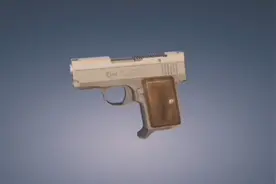 掌心雷一AMT袖珍手枪的分解