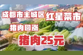 实拍，成都市主城区红星菜市，猪肉价格，猪肉价格回涨视频封面