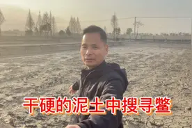 干硬的泥土里也有鳖？视频封面