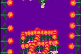 我相册密码视频封面