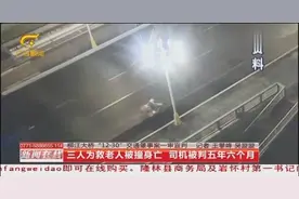 男子撞死3人后逃逸，由于有自首行为，司机被判5年6个月视频封面