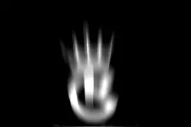 皮草知识：樟脑球对于皮草的危害视频封面