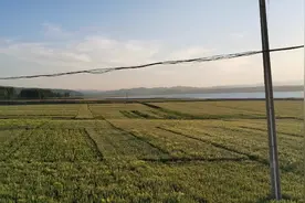 华为mate30视频拍摄效果视频封面