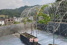 房子楼顶铺了隔热棉效果怎么样不热了吗？视频封面