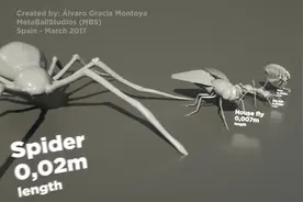 最全最新的生物大小排行榜来了，最小居然是水熊虫