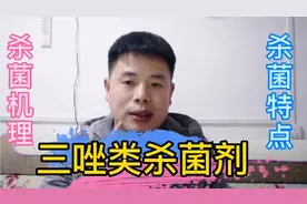 三唑类杀菌剂：能控旺？杀菌原理是什么？11条让你弄懂#剪映福利#
