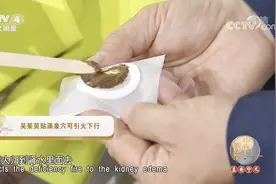 吴茱萸贴涌泉穴，可引火下行，外治胃火引起的口腔溃疡有良效视频封面