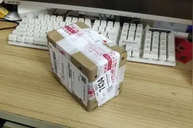 在某宝上购买的纯佛鳄龟，状态还不错，确实比杂佛鳄龟凶狠