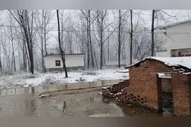 刚刚河南信阳下雪啦，希望大雪把病毒赶走，让疫情快快好起来！