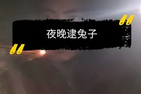 兔子夜不归宿，小伙夜晚逮兔子，有点意思视频封面