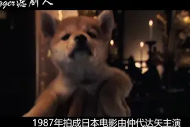 一部1935年发生在日本的真实故事改编，讲述人与犬感人至深的故事视频封面