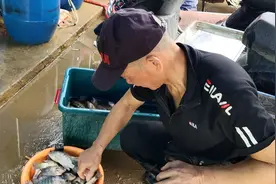 退休候鸟海南博鳌买房，每天去万泉河钓鱼，钓多了就去卖鱼，看下