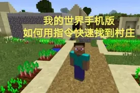 【我的世界手机版】如何利用指令快速找到村庄？