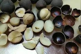 160元一公斤的茶果，苦香脆越吃越想吃。视频封面