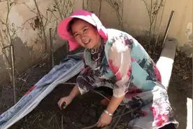 非洲我待的地方没有韭菜，我只好自己从国内带种子来自己种视频封面