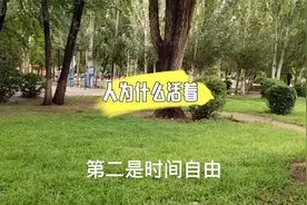 人为什么活着，活着就是为了自由，您认为呢