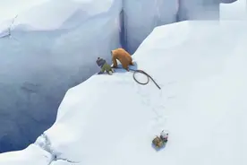 熊出没：赵琳滑雪急刹车，结果整个人掉入了冰缝里面，惊险！视频封面