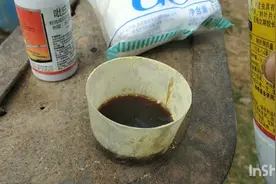 冬瓜病虫害要预防为主，来看大叔用什么药，大家交流一下。视频封面