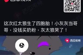 再次红太狼生了个胞胎。小灰灰当哥哥没钱买奶粉，灰太狼哭了。