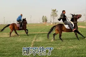 教学马很听话，一口气跑30公里，高半血怎么才要这么点钱？