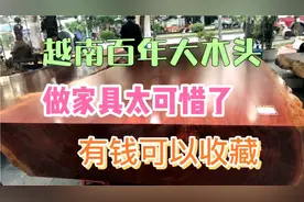 越南百年大树视频封面