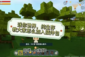 迷你世界，教大家怎么在纯生存导入插件包。