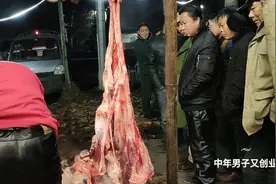 河南农村！新鲜驴肉45一斤，听说有的地方便宜，你们那里啥价格！视频封面