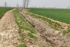 为什么现在农村很多小河小沟都干枯了？以前的水都去哪了？