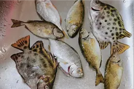 湛江海边人最爱的杂鱼汤，做法简单粗暴，汤浓味甜有营养