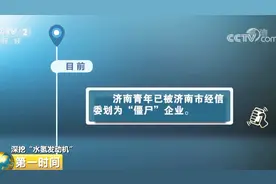 青年汽车水氢发动机多半“莲花一现”？“僵尸企业”8地政府合作视频封面