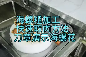 五星总厨：分享《海螺粗加工快速取肉改花螺花方法》