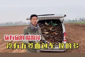 国产神车不是浪得虚名，五菱神车装满一车能拉3000多斤，厉害了