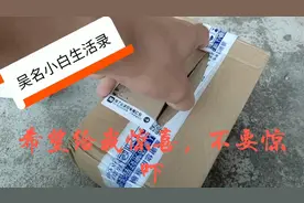 小伙在网上买了一对虎皮鹦鹉，质量到底靠不靠谱，拆开看太惊吓了视频封面