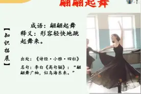 积累•每日一成语•翩翩起舞视频封面