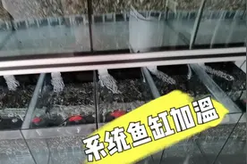 系统鱼缸的加温方式选择，6个鱼缸用一根加热棒就可以，省电省钱