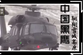 中国黑鹰直20雪域高原飞行性能强悍，将为高原作战兵力投送先锋视频封面