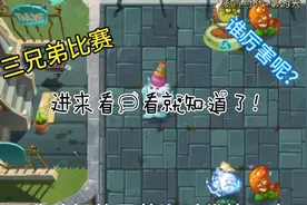 三龙草比赛，究竟哪个比较厉害呢？