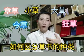 初学书法不认识草书？记住这几个特点轻松分辨草书的种类视频封面
