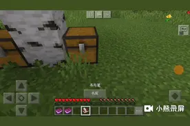 我的世界生存1：这任务真难搞呦