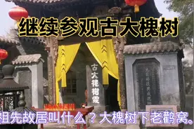 现在寺庙都改用二维码，以后捐助不能说没现金，改说今天没带手机视频封面
