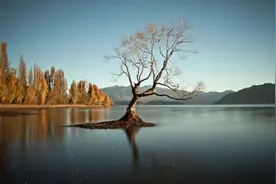 日本经典民谣伴奏曲10首