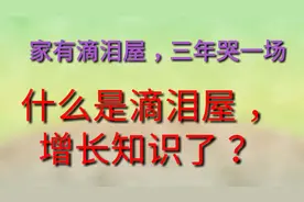 家有泪滴屋，三年一场哭，什么是泪滴屋，涨知识了视频封面