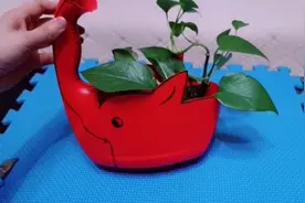 洗衣液桶做小象花盆制作简单注意安全哦