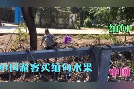 中缅边境云南一寨两国，缅甸边民用竹杆卖水果，你肯定没有见过