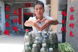 花生苗酸真好吃，容县特色吃不腻，小伙子教你腌制花生苗