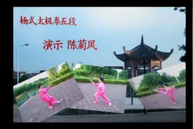 杨式太极拳五段位制背向示范视频封面
