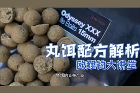 欧洲钓鱼“神饵”——丸饵配方全解析