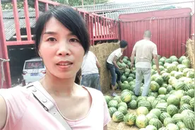 河南周口这个地方的西瓜太便宜了，农村妹子一下买了20000斤视频封面