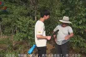 玉米地里套种胡萝卜，看农村大叔如何种科学植土地？全是知识点