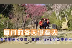 厦门政策就是好，春节期间公交，地铁 都是免费，冬天就像夏天美视频封面